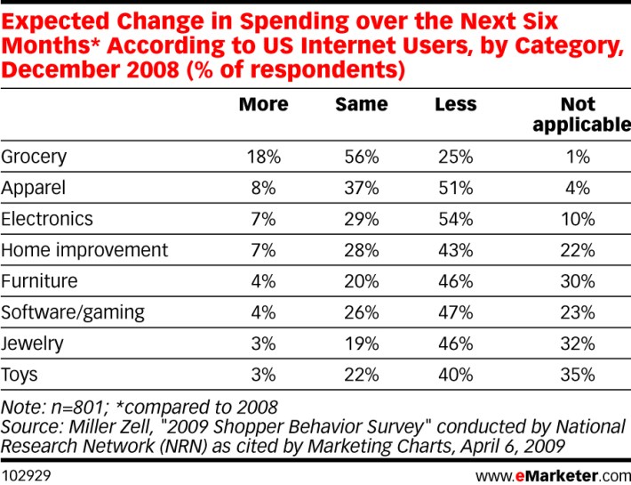 Consumer Spending Changes in 2009
